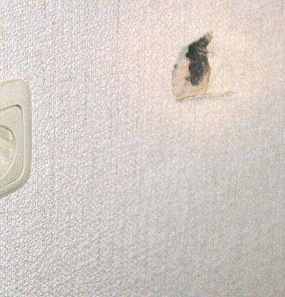 Lauscher_Dose_ohne_Kabel.jpg, 27346 bytes, 25.10.01