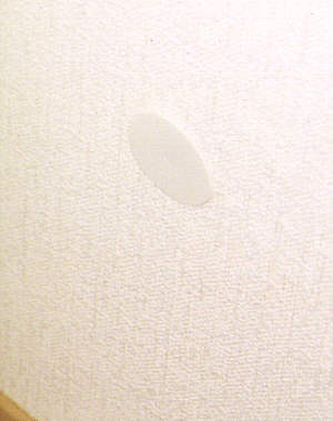 Lauscher_alte_Dose.jpg, 14083 bytes, 25.10.01