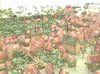 1366_36.jpg
