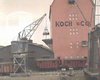 koch_08.jpg