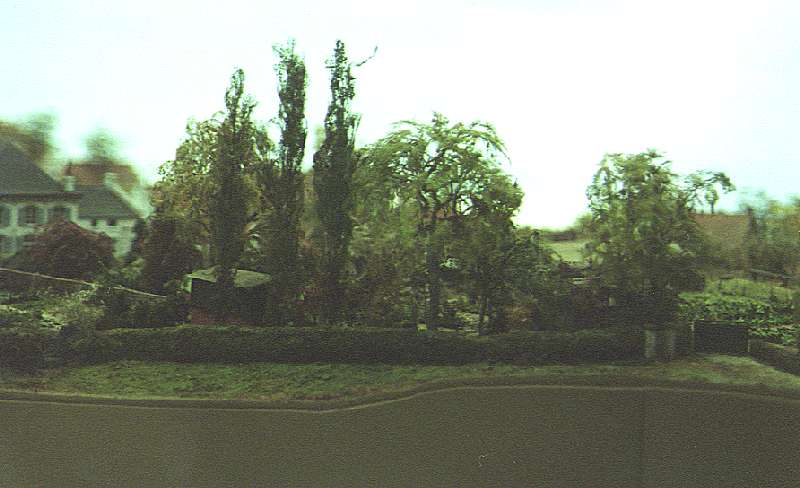 Thorn25.jpg, 45899 bytes, 13.11.00