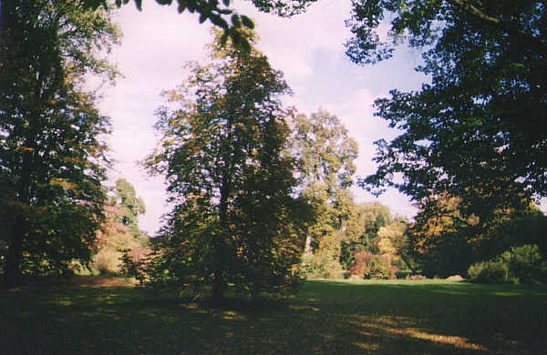 Park11.jpg, 46860 bytes, 27.03.01