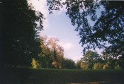 Park02.jpg