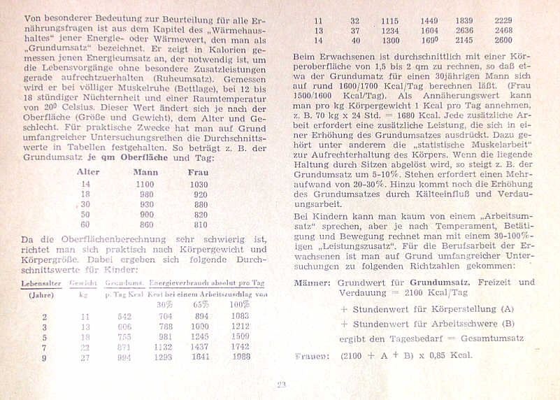 Bild25.jpg, 26.07.2004, 78 kB